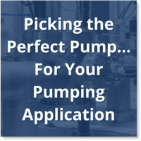 pickingperfectshadow